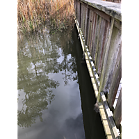 Newport News King Tide image